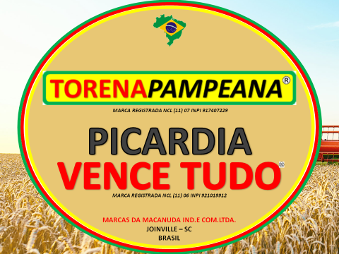 TORENA PAMPEANA E PICARDIA VENCE TUDO MACANUDA EM CACHOEIRA DO SUL RS